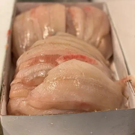 Färska fiskfiléer i en låda