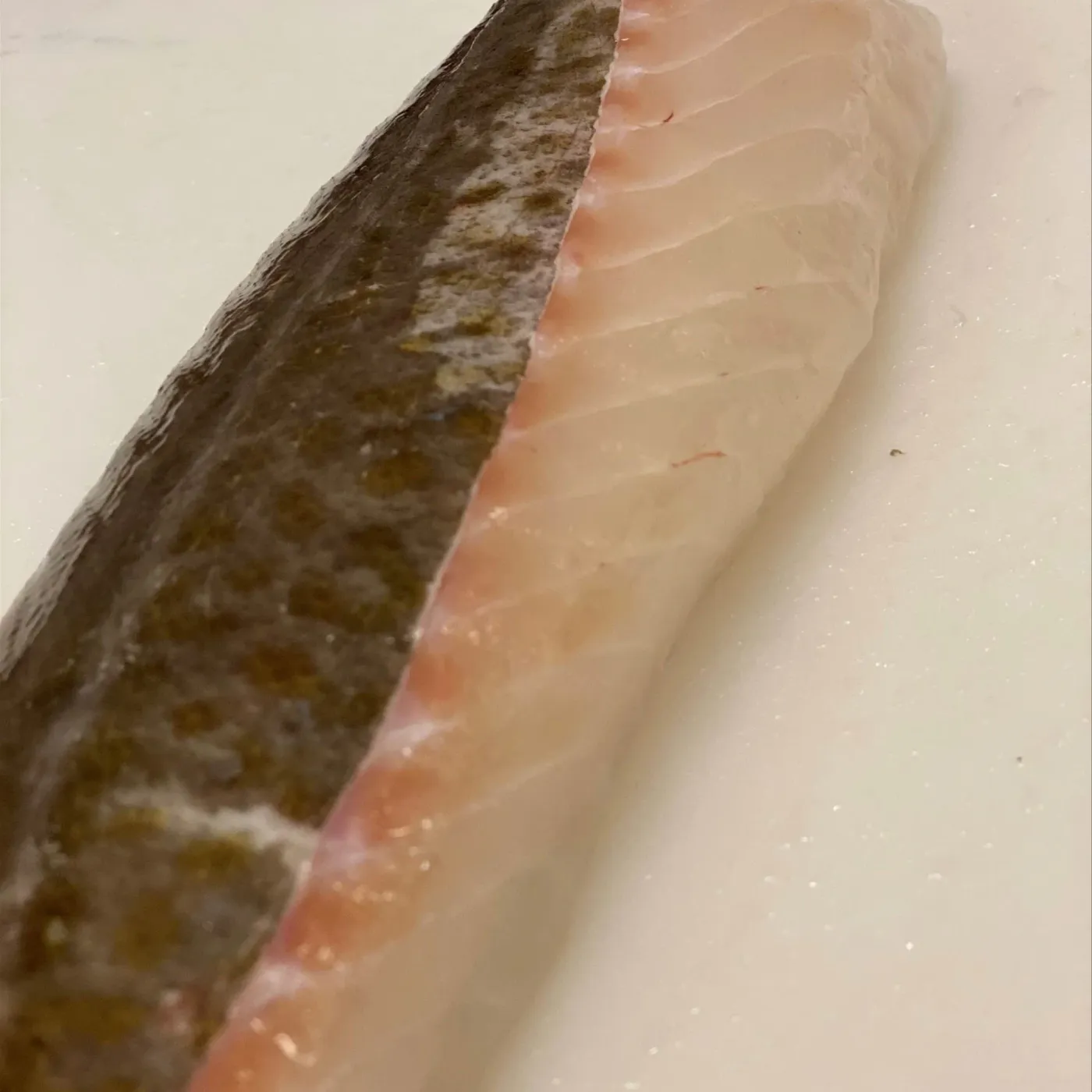 Färsk fiskfilé med skinn