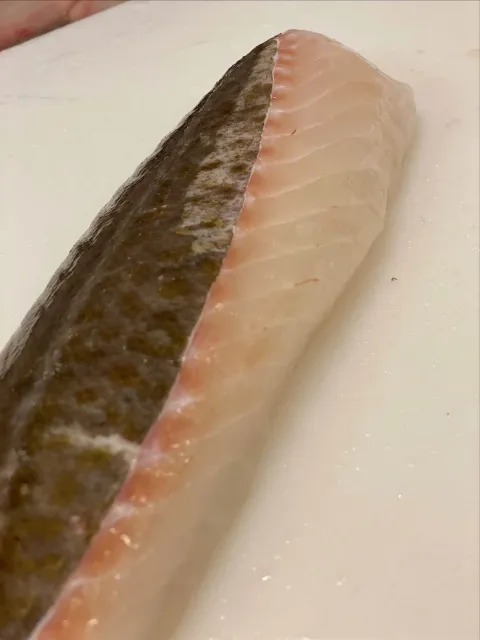 Färsk fiskfilé med skinn