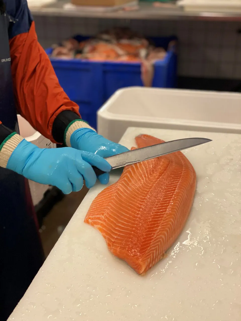 Lax filéras för hand med kniv