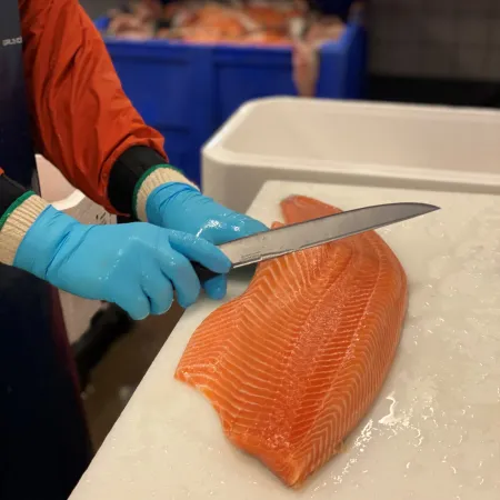 Lax filéras för hand med kniv